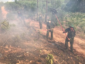 Cơ bản khống chế vụ cháy rừng tại tỉnh Thừa Thiên-Huế