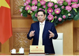Thủ tướng đồng chủ trì Đối thoại chiến lược quốc gia Việt Nam và WEF 