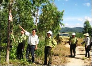 Phê duyệt báo cáo kết quả điều tra khảo sát hiện trạng rừng và đất lâm nghiệp để chuyển sang trồng cây cao su