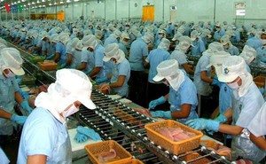 2020年上半年，越南冷冻虾出口增长5.7%