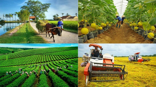 Tổ chức Hội nghị Thủ tướng Chính phủ đối thoại với nông dân năm 2022 - Ảnh 1.