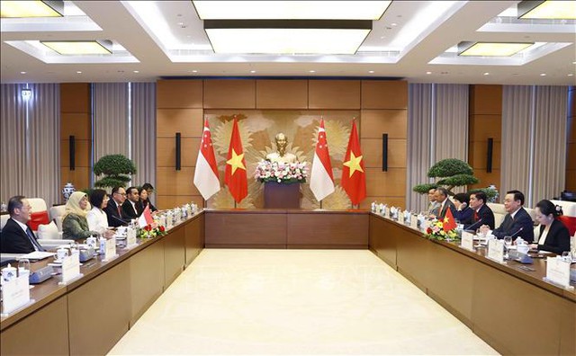 Chủ tịch Quốc hội Vương Đ&igrave;nh Huệ hội kiến Tổng thống Singapore Halimah Yacob - Ảnh 1.