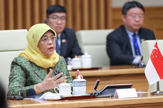 Tổng thống Singapore v&agrave; Thủ tướng Phạm Minh Ch&iacute;nh nhất tr&iacute; khuyến kh&iacute;ch ph&aacute;t triển c&aacute;c KCN VSIP - Ảnh 4.