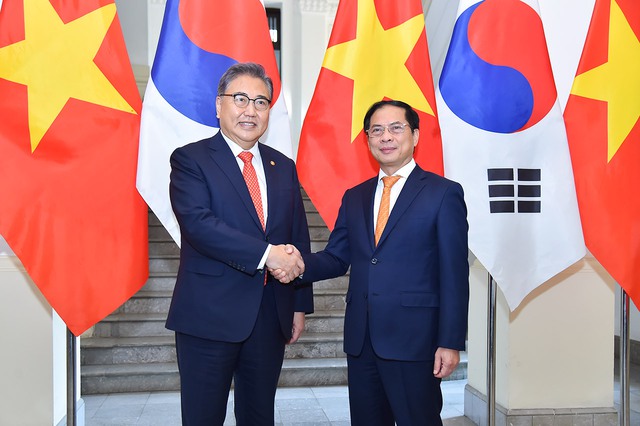 Đưa quan hệ, hợp tác Việt Nam-Hàn Quốc đạt được các mục tiêu về mọi mặt - Ảnh 1.