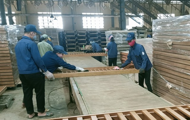 Phối hợp thực hiện chuỗi giá trị gỗ hợp pháp và bền vững tại Việt Nam - Ảnh 1.