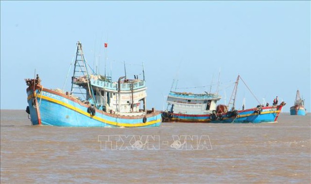 Bến Tre rà soát số liệu, hồ sơ truy xuất thủy sản - Ảnh 1. Bến Tre rà soát số liệu, hồ sơ truy xuất thủy sản - Ảnh 1.
