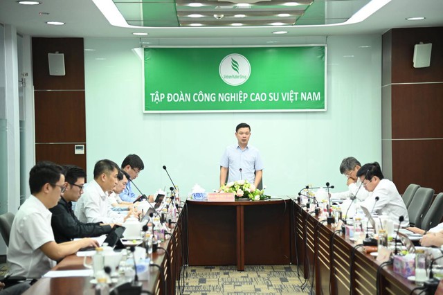 Tập đoàn CN Cao su Việt Nam: Đề xuất phương án tháo gỡ khó khăn trong tháng 11/2022 - Ảnh 1.