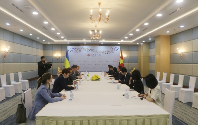 Bộ trưởng Ngoại giao Bùi Thanh Sơn gặp Bộ trưởng Ngoại giao UKraine Dmytro Kuleba - Ảnh 1.
