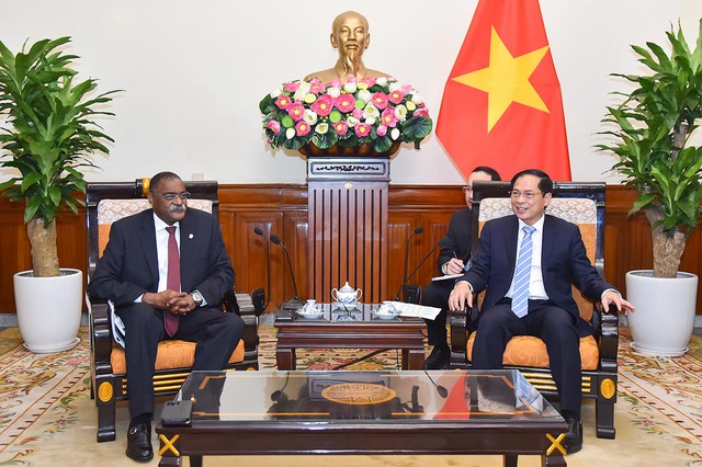 Việt Nam là đối tác ưu tiên trong mục tiêu đa dạng hóa nền kinh tế của Angola - Ảnh 1.