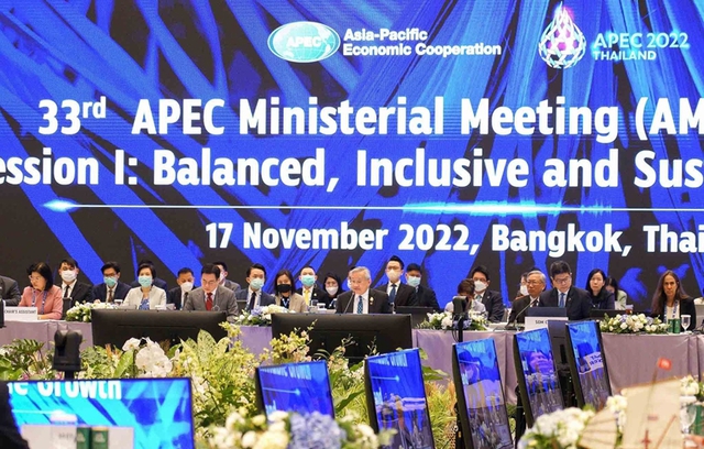 Việt Nam kêu gọi tăng cường hợp tác giữa các thành viên APEC - Ảnh 1.