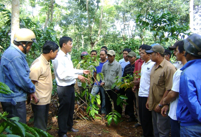 Đào tạo nghề gắn với thế mạnh địa phương để giảm nghèo bền vững - Ảnh 1.