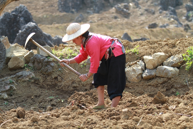 Giữa trùng điệp đá núi Tủa Chùa - Ảnh 2.