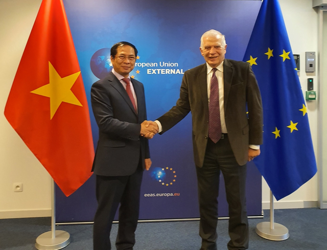 EU rất coi trọng vị thế của Việt Nam trong khu vực cũng như trên thế giới - Ảnh 1.