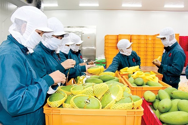 Chuẩn hóa sản suất, thực hiện giấc mơ nông sản Việt phủ sóng EU - Ảnh 2.