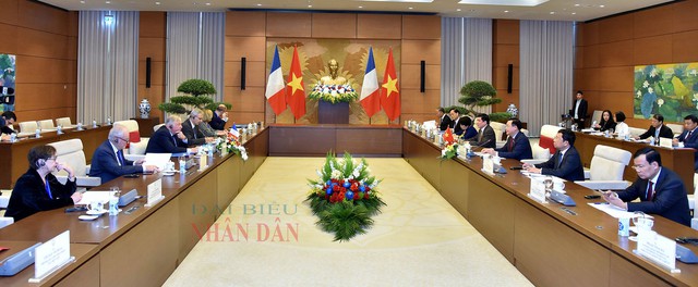 Chủ tịch Quốc hội Vương Đình Huệ đón, hội đàm với Chủ tịch Thượng viện Pháp - Ảnh 3.