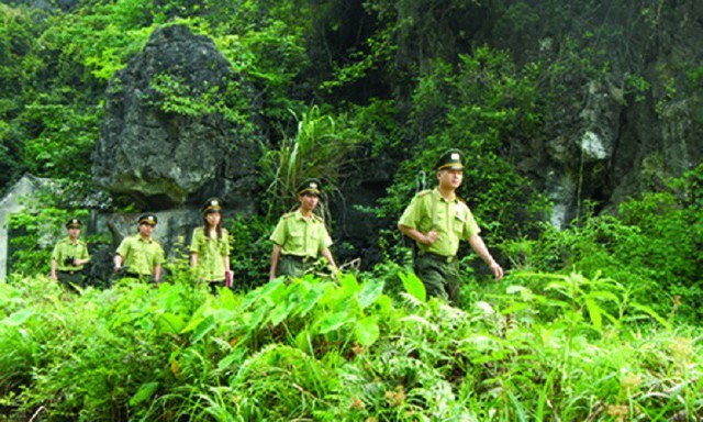 Ngăn chặn, đẩy lùi tình trạng phá rừng, mất rừng - Ảnh 1. Ngăn chặn, đẩy lùi tình trạng phá rừng, mất rừng - Ảnh 1.