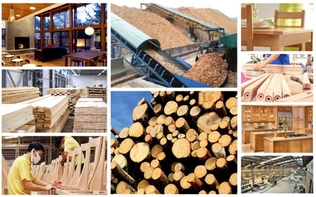 Phát triển ngành công nghiệp chế biến gỗ bền vững, hiệu quả - Ảnh 1.