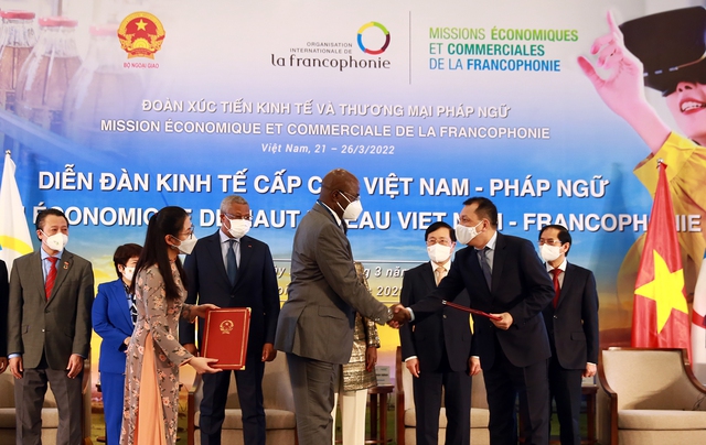 Việt Nam ủng hộ hợp tác kinh tế mạnh mẽ trong không gian Pháp ngữ - Ảnh 3.