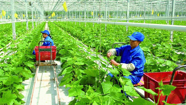 Việt Nam ưu tiên nông nghiệp xanh   - Ảnh 1.
