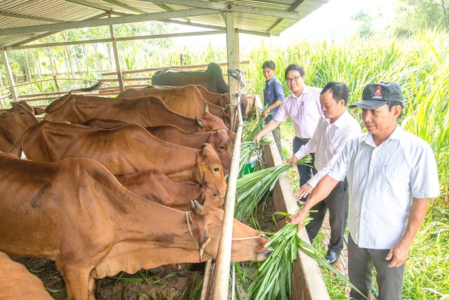 Bình Dương nỗ lực giúp hộ nghèo làm giàu từ nguồn vốn tín dụng chính sách - Ảnh 2. Bình Dương nỗ lực giúp hộ nghèo làm giàu từ nguồn vốn tín dụng chính sách - Ảnh 2.