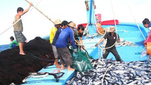Nhiều bất cập trong chống khai thác IUU ở Bến Tre, Tiền Giang - Ảnh 1. Nhiều bất cập trong chống khai thác IUU ở Bến Tre, Tiền Giang - Ảnh 1.