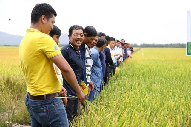 NPK Cà Mau đồng hành cùng ngành nông nghiệp hướng đến phát triển bền vững - Ảnh 1.