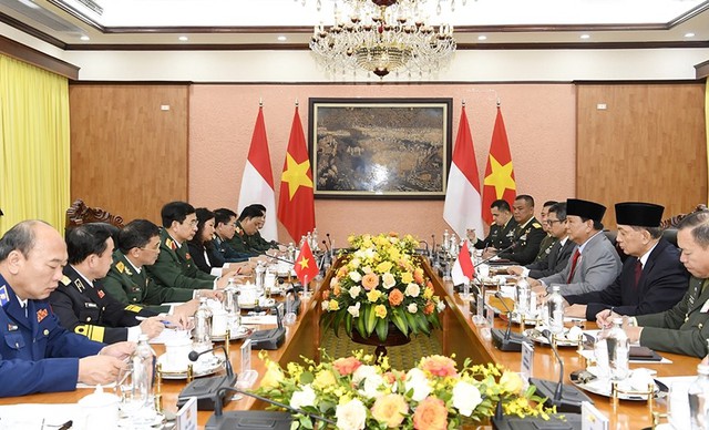 Hợp tác Quốc phòng Việt Nam-Indonesia đạt nhiều kết quả tích cực - Ảnh 1.