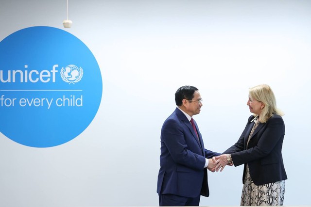 Thủ tướng gặp lãnh đạo UNDP và UNICEP - Ảnh 6.