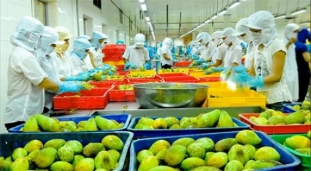 Phát triển ngành hàng rau quả theo hướng gia tăng tỷ lệ chế biến xuất khẩu - Ảnh 1.