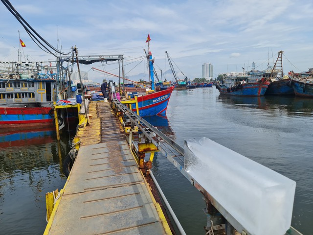 Kỳ 4: Vốn Nhà nước không phải "chìa khóa vàng" phát triển tàu xa bờ - Ảnh 6. Kỳ 4: Vốn Nhà nước không phải "chìa khóa vàng" phát triển tàu xa bờ - Ảnh 6.