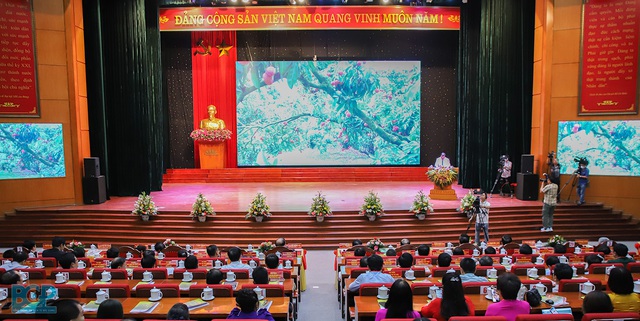 Vải thiều Bắc Giang mở rộng thêm nhiều thị trường xuất khẩu - Ảnh 1.