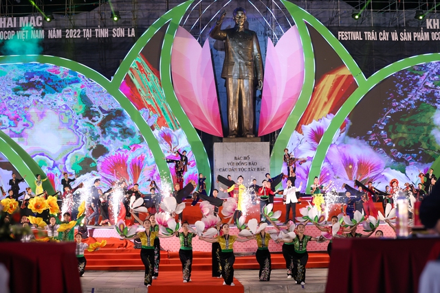 Thủ tướng dự Lễ khai mạc Festival trái cây và sản phẩm OCOP Việt Nam năm 2022 - Ảnh 8.
