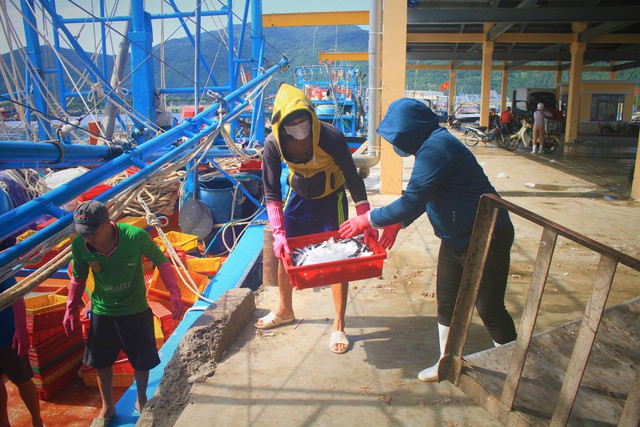 Ngư dân miền Trung khắc phục khó khăn, nỗ lực vươn khơi bám biển - Ảnh 3. Ngư dân miền Trung khắc phục khó khăn, nỗ lực vươn khơi bám biển - Ảnh 3.