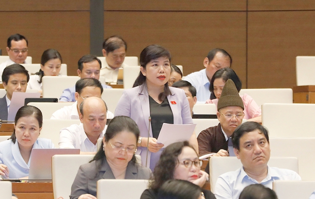 Đại biểu Quốc hội tranh luận 'bỏ' hay 'giữ' Thanh tra cấp huyện - Ảnh 1. Đại biểu Quốc hội tranh luận 'bỏ' hay 'giữ' Thanh tra cấp huyện - Ảnh 1.