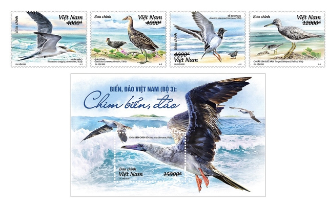 Bộ TT&TT sẽ phát hành bộ tem thứ 3 về Biển, đảo Việt Nam - Ảnh 1.