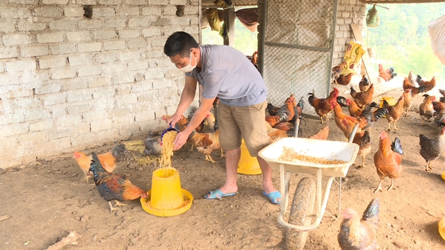 Nguồn vốn tín dụng ủy thác-'đòn bẩy' loại bỏ tư tưởng trông chờ, thúc đẩy sản xuất - Ảnh 1. Nguồn vốn tín dụng ủy thác-'đòn bẩy' loại bỏ tư tưởng trông chờ, thúc đẩy sản xuất - Ảnh 1.