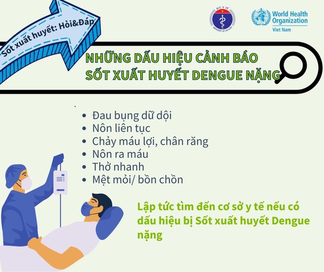 Dịch sốt xuất huyết có thể quay lại theo chu kỳ: Cần chủ động phòng bệnh - Ảnh 1.