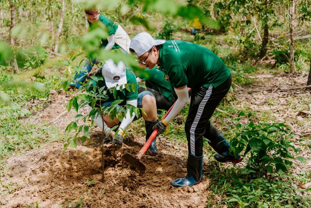 Nestlé Việt Nam tham gia trồng rừng góp phần giảm tác động biến đổi khí hậu - Ảnh 1.