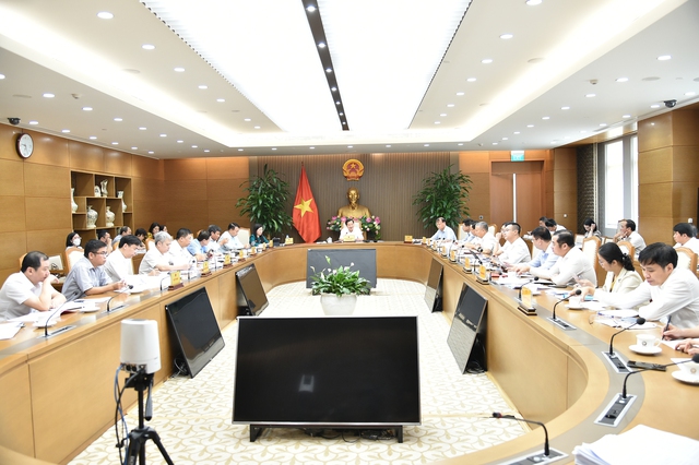 Phó Thủ tướng Lê Minh Khái chủ trì cuộc họp tái cơ cấu dự án VTM và DAP-2 Lào Cai - Ảnh 1.