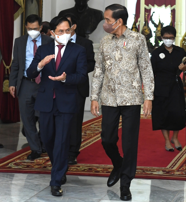 Bộ trưởng Ngoại giao Bùi Thanh Sơn tiếp kiến Tổng thống Indonesia Joko Widodo - Ảnh 1.
