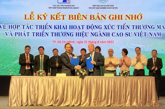 Hỗ trợ nâng tầm thương hiệu ngành cao su Việt Nam  - Ảnh 1.
