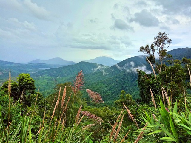 Đề xuất thủ tục thí điểm chuyển mục đích sử dụng rừng sang mục đích khác tỉnh Khánh Hòa - Ảnh 1.