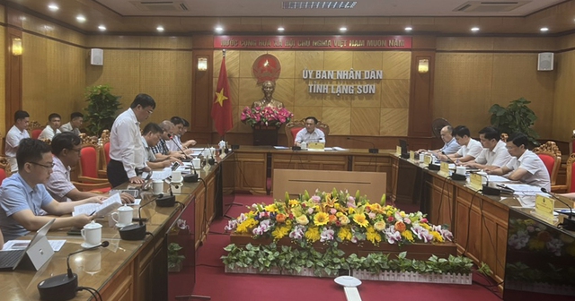 Đốc tiến độ bàn giao mặt bằng đường dây 220kV Bắc Giang - Lạng Sơn - Ảnh 1.