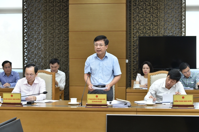 Phó Thủ tướng Lê Minh Khái họp xử lý dự án Đạm Ninh Bình và DQS - Ảnh 4.