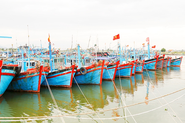 Đề xuất thành lập Quỹ hỗ trợ phát triển nghề cá Khánh Hòa - Ảnh 1.