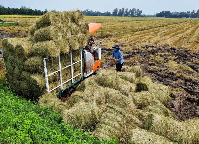 Thúc đẩy phát triển nông nghiệp tuần hoàn - Ảnh 1.