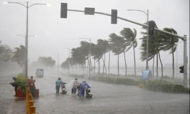 Ứng phó với áp thấp nhiệt đới có khả năng mạnh lên thành bão - Ảnh 1.