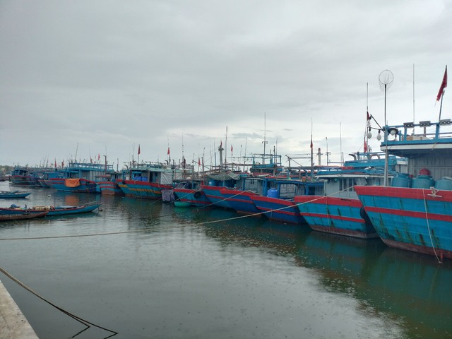 Quảng Nam: Ứng phó khẩn cấp với bão số 4, khẩn trương sơ tán người dân - Ảnh 3. Quảng Nam: Ứng phó khẩn cấp với bão số 4, khẩn trương sơ tán người dân - Ảnh 3.