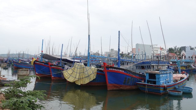 Bình Định: sơ tán hơn 65.000 người dân - Ảnh 4.