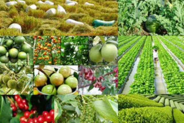 Đề xuất thời hạn giám định tư pháp lĩnh vực nông nghiệp tối đa 3 tháng - Ảnh 1.